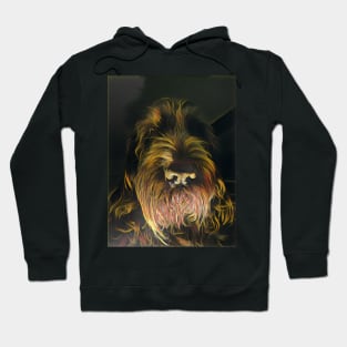 Spinone Ghost Stories Hoodie